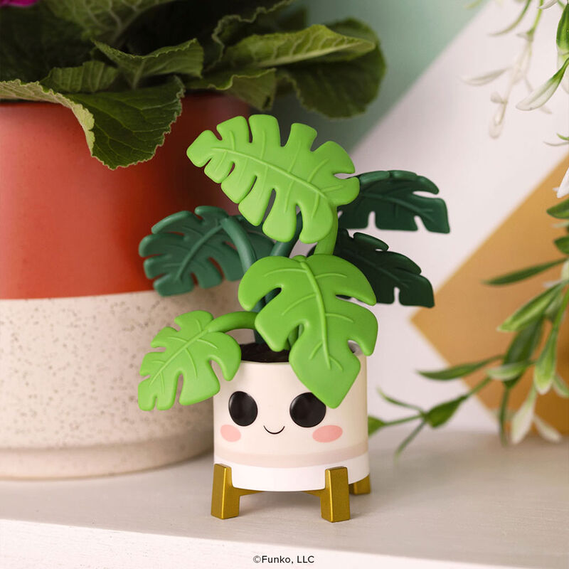 Pop! Plants Monstera FWlifestyle1 view 2