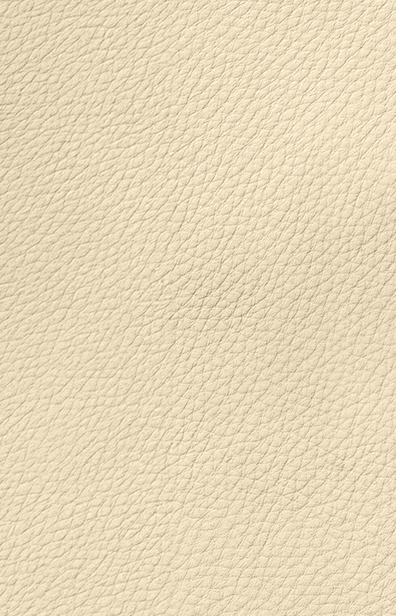 beige leather texture