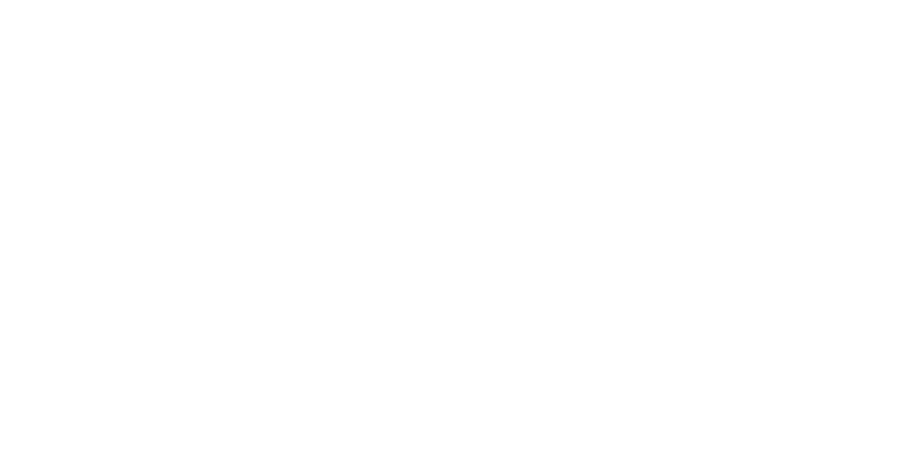 Bluey logo