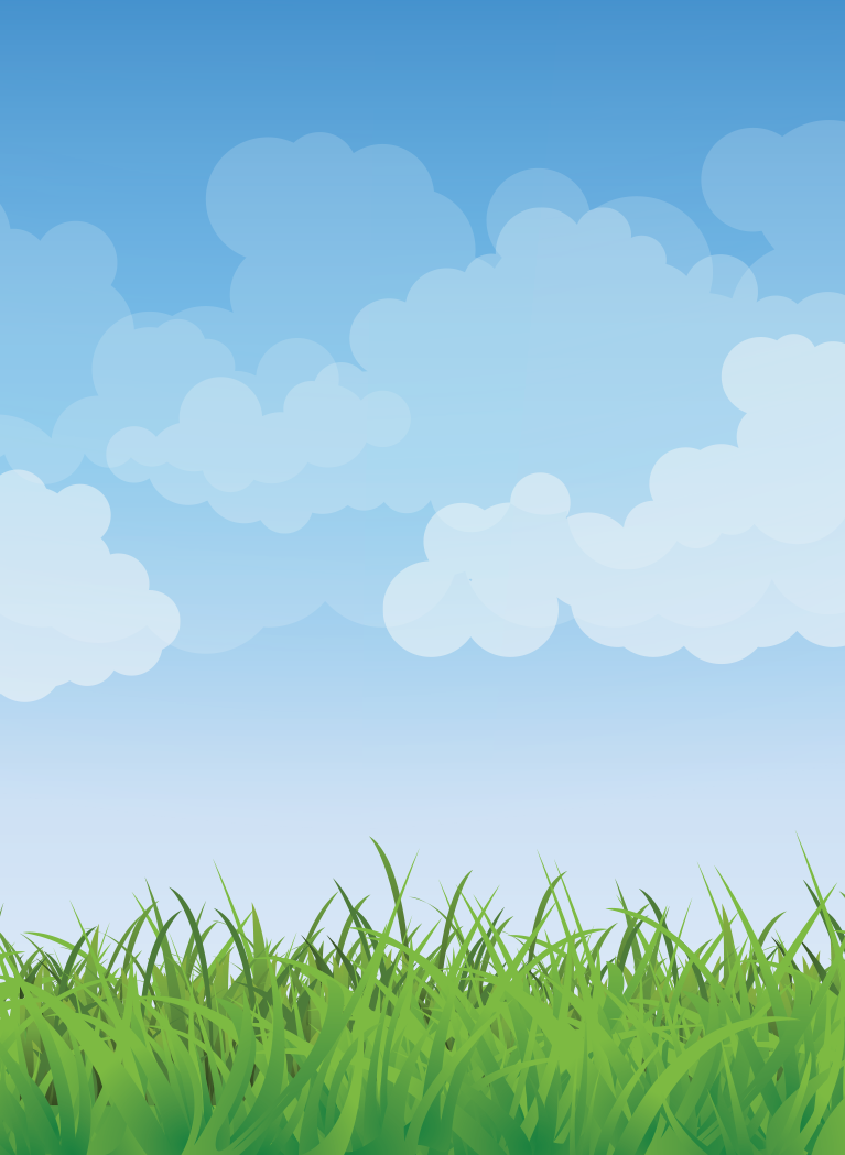 close up of grass with blue sky background