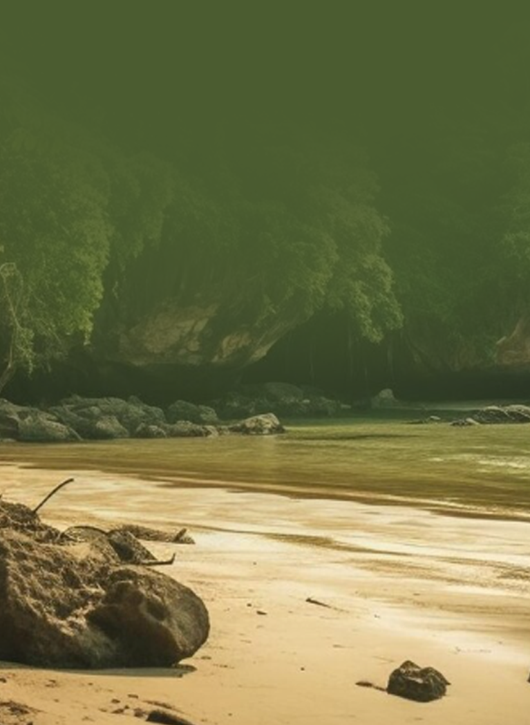 Jungle beach scene background