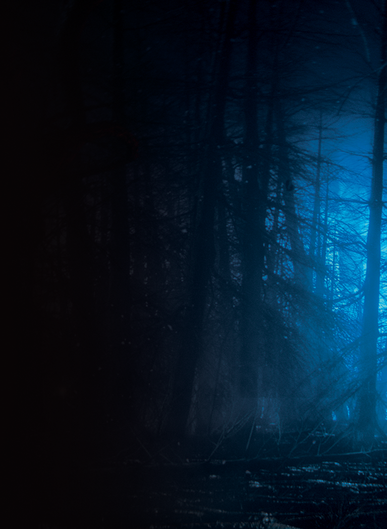 Creepy blue-tinted forest with dense tree silhouettes and misty light, conveying mystery and suspense.